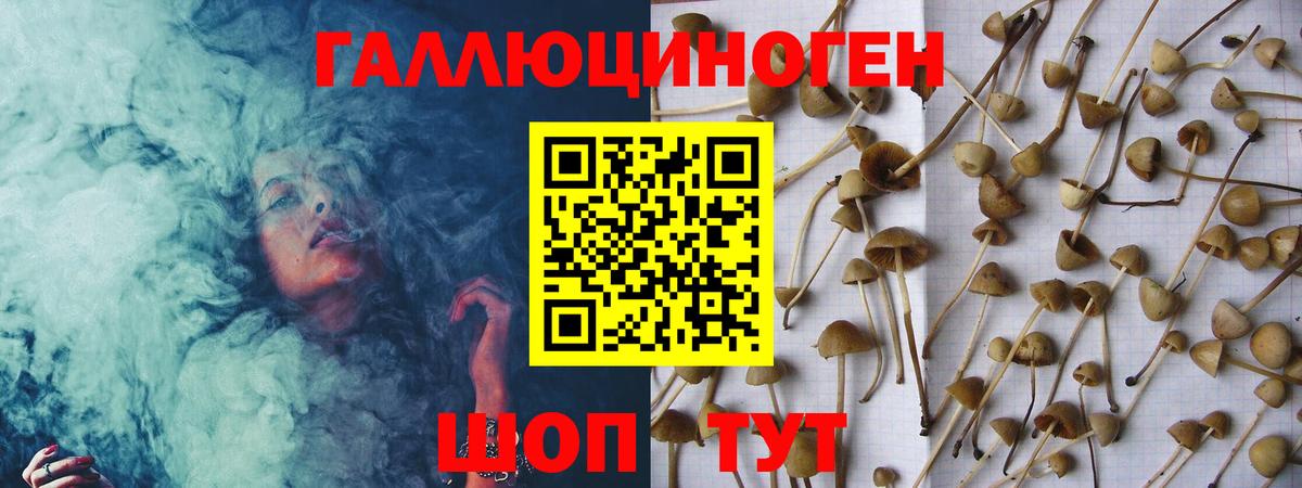 Псилоцибиновые грибы мицелий  Вход с VPN  Мариинск 